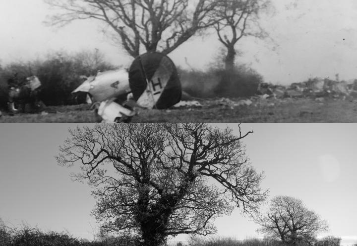 Two images on top of each other. Both show same tree. Top image shows crashed plane and bottom image shows man standing near crash location.
