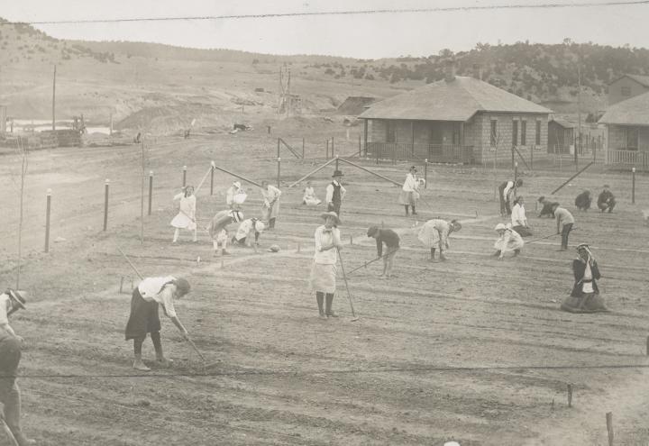 Historic photos shows mostly children working in the garden. 
