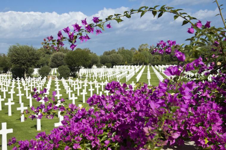 Purple flowers fill the foreground and headstones fill the background.