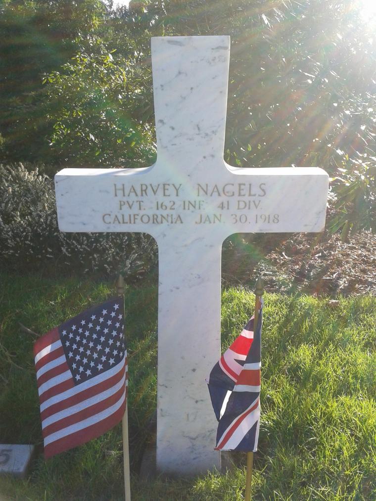 Nagels, Harvey