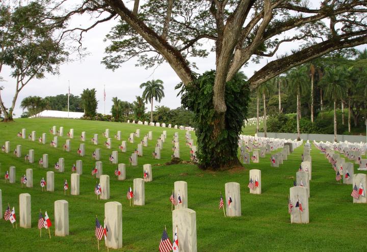 American and Panamanian flags are placed in front of every headstone at Corozal American Cemetery for Veterans Day. 
