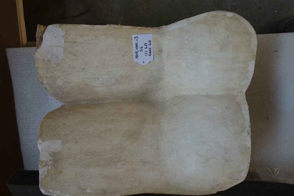 Plaque (upper rear thighs) portion of white plaster mold displayed on a padded surface, showing curved contours, chipped edges, and ABMC inventory tag attached near the center.