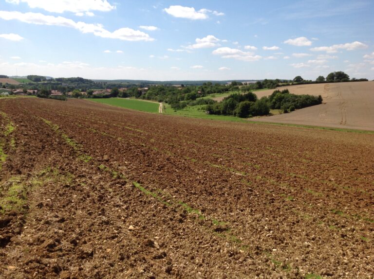Farmland today in France shows the type of area where fighting occurred during World War I.