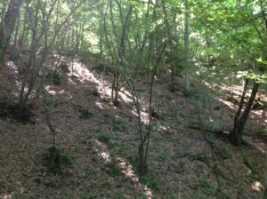 Location of where the Lost Batallion fought and helped hold the line.